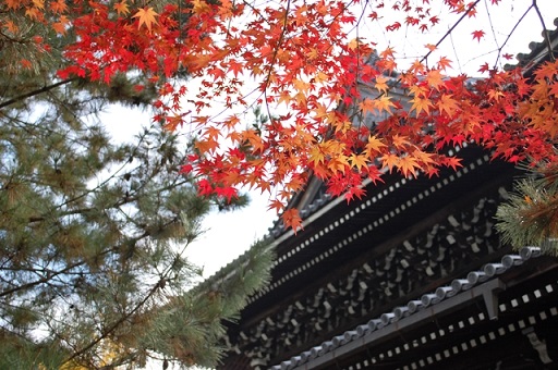 南禅寺の三門の紅葉